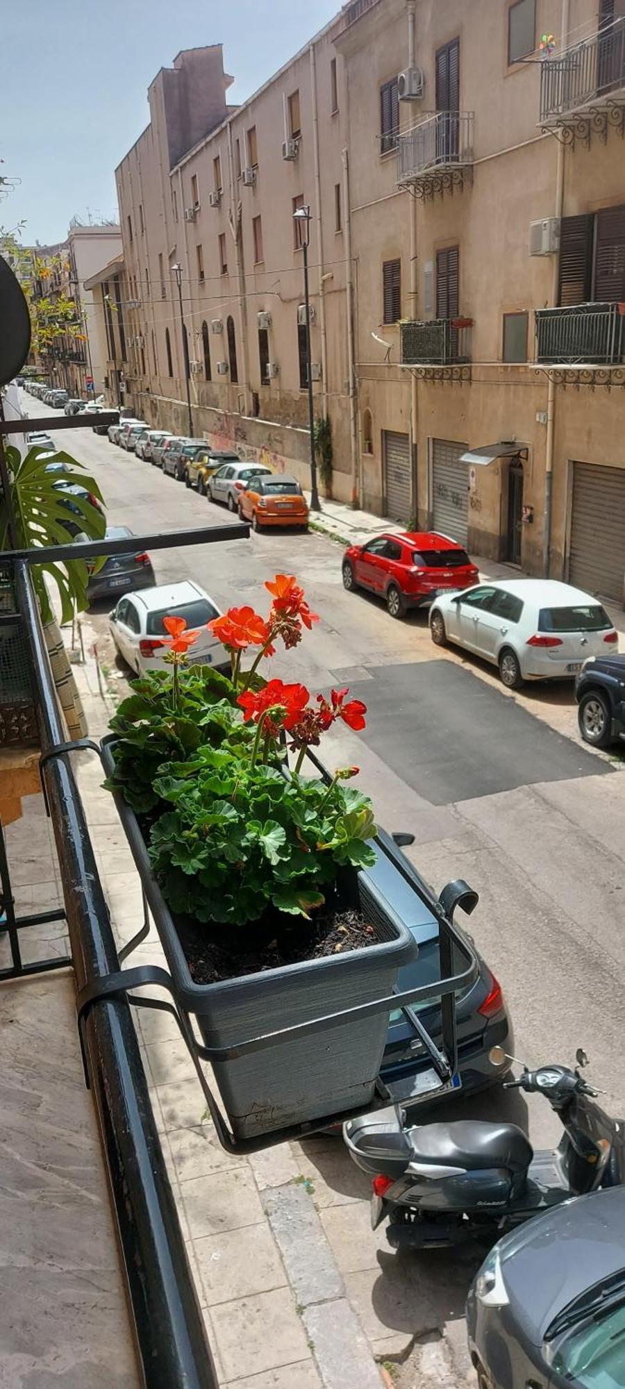 Civico 67 Apartman Palermo Kültér fotó